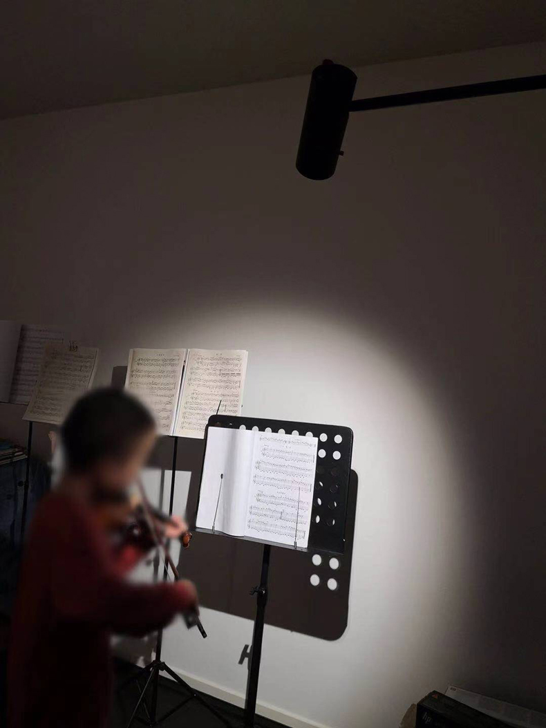 application14 Portable floor lamp zoomable